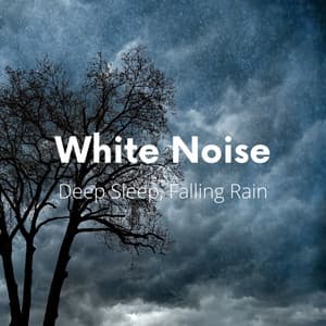 White Noise Deep Sleep, Falling Rain - White Noise Playlist