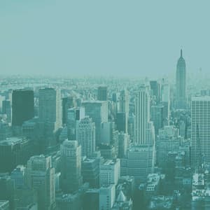 Feelings for Top Restaurants - Best Jazz Lounge Bar