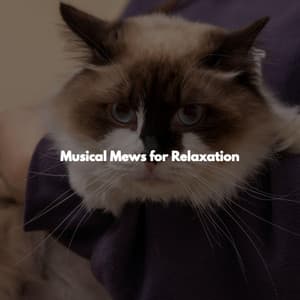 Musical Mews for Relaxation - Nachmittags Jazz