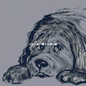 いぬと添い寝する時の歌 - Cafe Music Deluxe