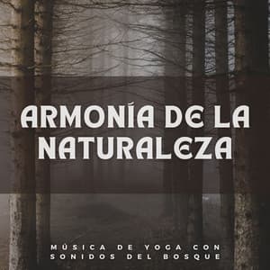 Armonía De La Naturaleza: Música De Yoga Con Sonidos Del Bosque - Ruido y Naturaleza