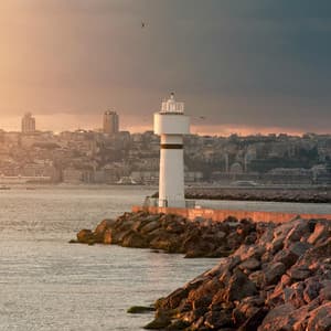 180 Wild: Safe Inner Space - Nature Sound Collection