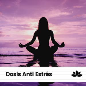 Dosis Anti Estrés - Mantra para Meditar