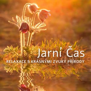 Jarní Čas: Relaxace s Krásnými Zvuky Přírody - Relaxační Zvuky