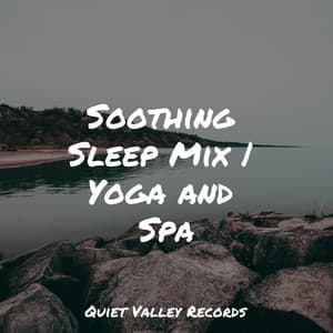 Soothing Sleep Mix | Yoga and Spa - Rainy Sounds