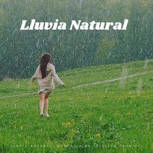 Lluvia Natural: Rapsodia De La Selva Tropical - Cara de lluvia