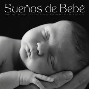 Sueños De Bebé: Sonidos Tranquilos De La Naturaleza Para Calmar A Tu Hijo - Biblioteca de sonidos de la naturaleza HD