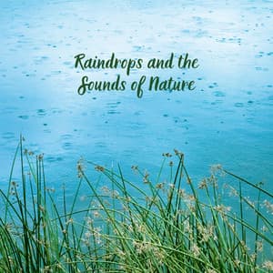 Raindrops and the Sounds of Nature - Rain Rec.