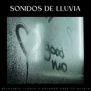 Sonidos De Lluvia: Relajante Lluvia Y Pájaros Para El Alivio - Colección de Sonidos de Lluvia Naturales