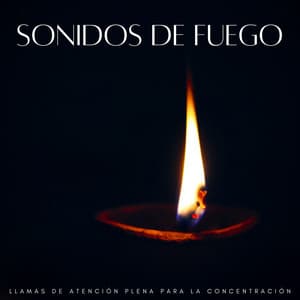 Sonidos De Fuego: Llamas De Atención Plena Para La Concentración - Fuego definitivo