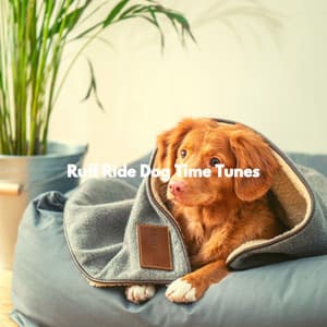 Ruff Ride Dog Time Tunes - Music For Dogs