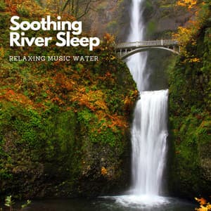 Soothing River Sleep: Relaxing Music Water - Ambient Music Bliss