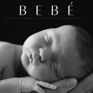 Bebé: Mejor Sonido Calmante De Lluvia Vol. 1 - Colmena de Lluvia