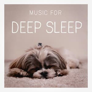 Music for Deep Sleep - Soothing Music for Sleep Academy