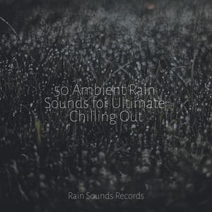 50 Ambient Rain Sounds for Ultimate Chilling Out - Reiki Music