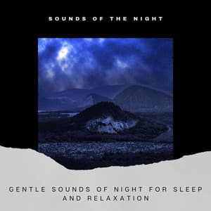 Gentle Sounds of Night for Sleep and Relaxation - Sounds of the Night