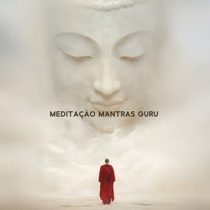 Fluir com a Vida - Meditação Mantras Guru