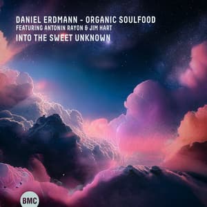Into the Sweet Unknown - Daniel Erdmann