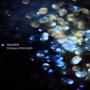 Echoes of the Earth - NatuREM