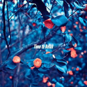 Time to Relax - Coffee Shop Music Supreme