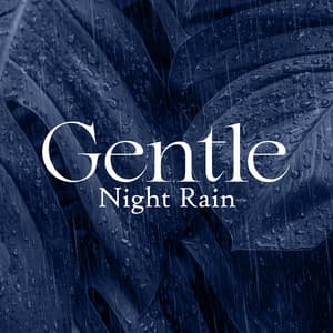 Gentle Night Rain: Restorative Sleep, Relaxation, Better Concentration - Zen Natural Sounds
