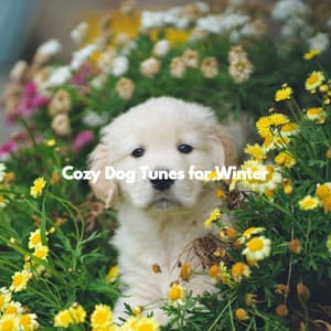 Cozy Dog Tunes for Winter - Good Mood Jazz