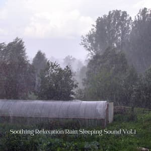 Soothing Relaxation Rain Sleeping Sound Vol. 1 - Binaural Beats Recordings