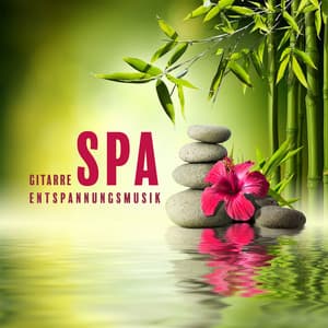 Gitarre Spa Entspannungsmusik - Meditationsmusik Sammlung