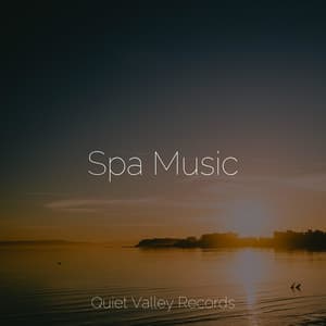 Spa Music - Lluvia PQ