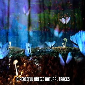 15 Peaceful Breeze Natural Tracks - Ambient Forest