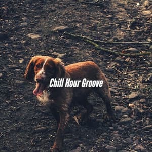 Chill Hour Groove - Home Alone Dog Music
