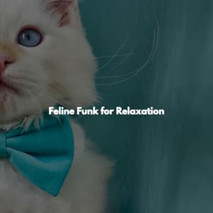 Feline Funk for Relaxation - Relaxing Jazz Madrid