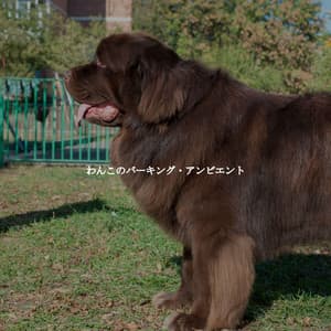 わんこのバーキング・アンビエント - Bossa Lounge Deluxe