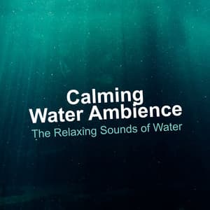 Calming Water Ambience - The Relaxing Sounds of Water