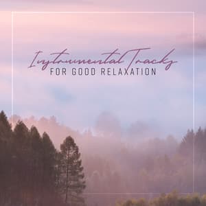 Instrumental Tracks for Good Relaxation. Pleasant Time, Good Mood, Happiness - Beautiful Instrumental Music Guys