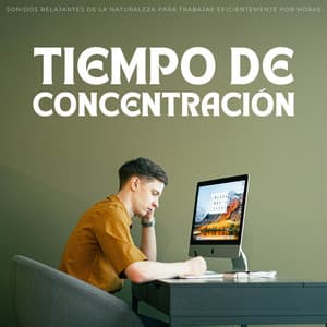 Tiempo De Concentración: Sonidos Relajantes De La Naturaleza Para Trabajar Eficientemente Por Horas - Conjunto de música de concentración