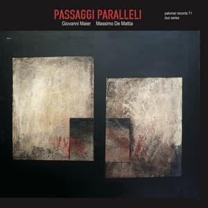 Passaggi paralleli - Massimo De Mattia