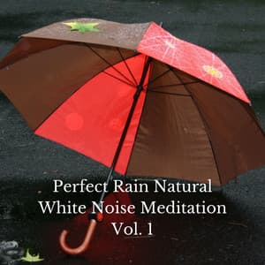 Perfect Rain Natural White Noise Meditation Vol. 1 - White Noise Therapy