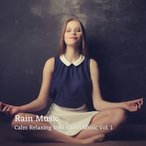 Rain Music: Calm Relaxing Meditation Music Vol. 1 - Rain Sounds & Nature Sounds