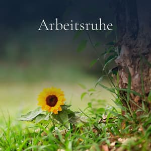 Arbeitsruhe - Einschlafen