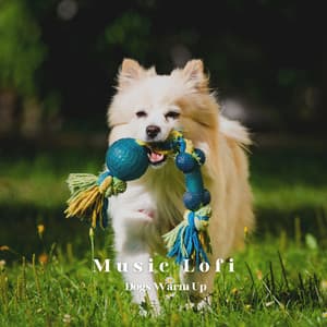 Music Lofi: Dogs Warm Up - Doggy Doo-Wop