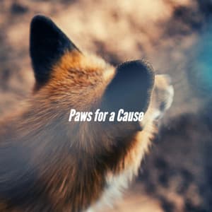 Paws for a Cause - Musica para Perros