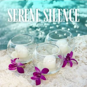 Serene Silence: Calming Spa Music - Spa Music Collection