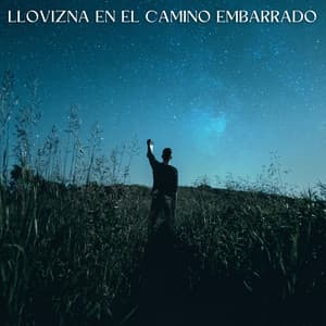 Llovizna En El Camino Embarrado - Sonidos de lluvia FX