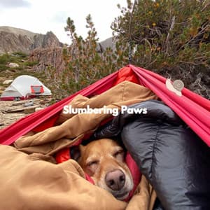 Slumbering Paws - Dog Relaxation Music