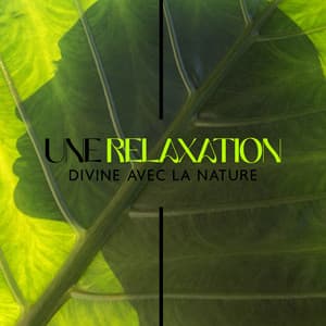 Une relaxation divine avec la nature: Musique avec des paysages sonores de la nature, musique douce pour la relaxation de l'esprit, l'élimination des tensions du corps - Musique Coeur de la Nature