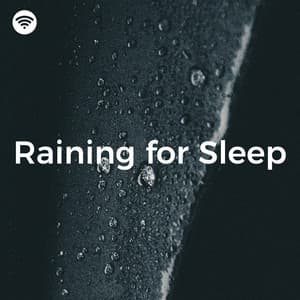 Raining for Sleep - Milo Heart