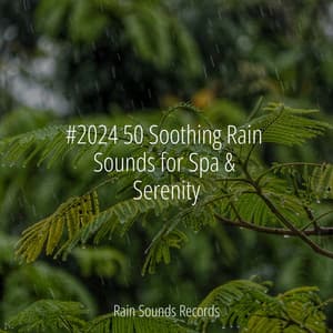 #2024 50 Soothing Rain Sounds for Spa & Serenity - Spa