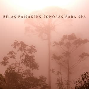 Belas Paisagens Sonoras para Spa - Coleção Ambiental de Sons da Natureza que são Ótimos como Pano de Fundo para Relaxar os Tratamentos Corporais e Faciais - Academia de Música para SPA
