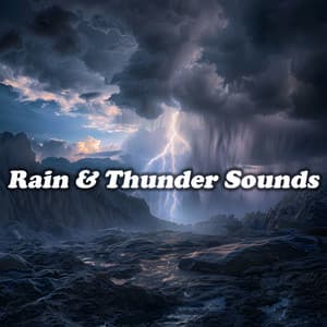 Rain & Thunder Sounds - Rain & Thunder Sounds
